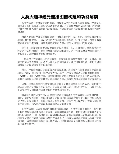 人类大脑神经元连接图谱构建和功能解读