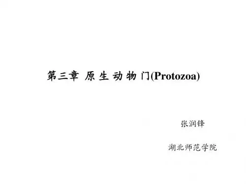第三章 原生动物门