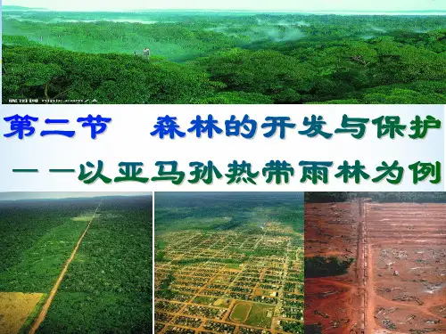 2.2森林的开发与保护——以亚马孙热带雨林为例(共31张PPT)