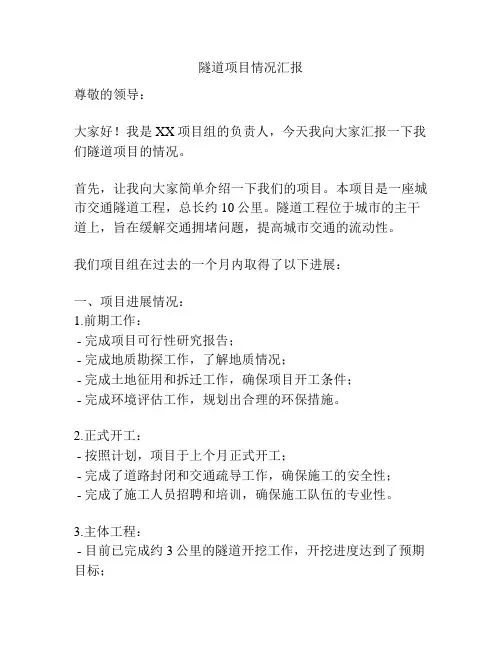 隧道项目情况汇报