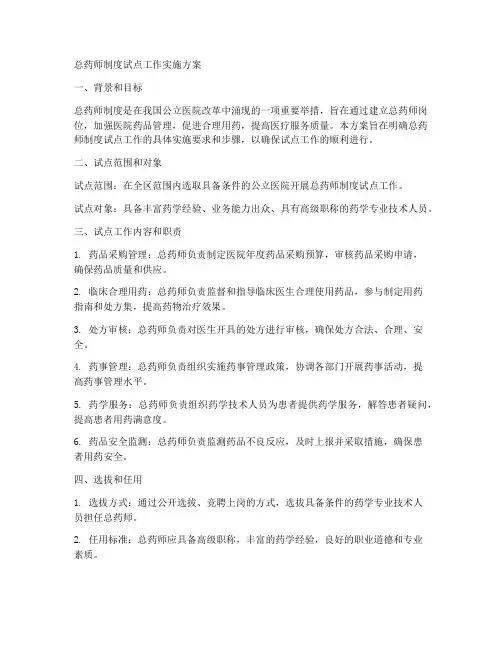 总药师制度试点工作制度