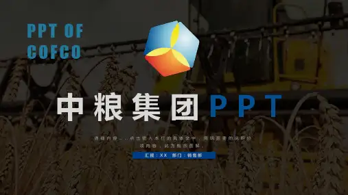 ppt模板：中粮集团工作总结汇报计划PPT