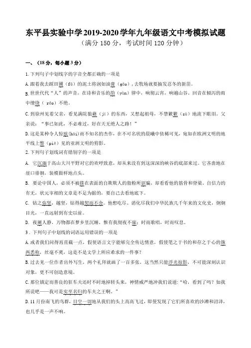 山东省泰安市2020年九年级语文中考模拟试题(有答案)