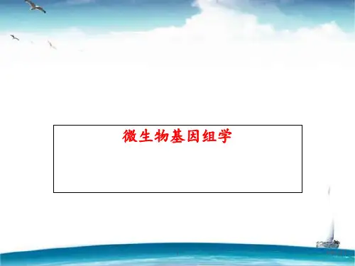 微生物基因组学  ppt课件