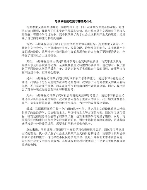 马原课程的收获与感悟是什么