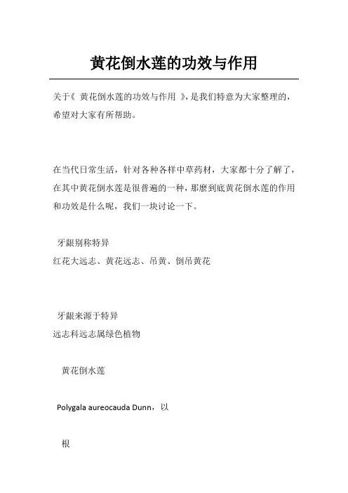 黄花倒水莲的功效与作用