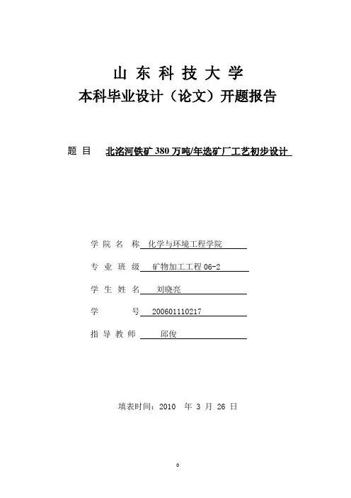 北洺河铁矿380万吨年选矿厂工艺初步设计开题报告完整版