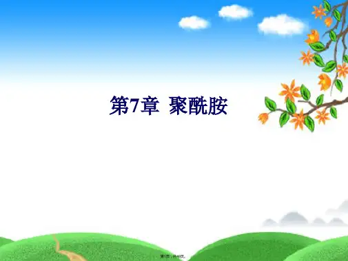 PA聚酰胺(共48张)