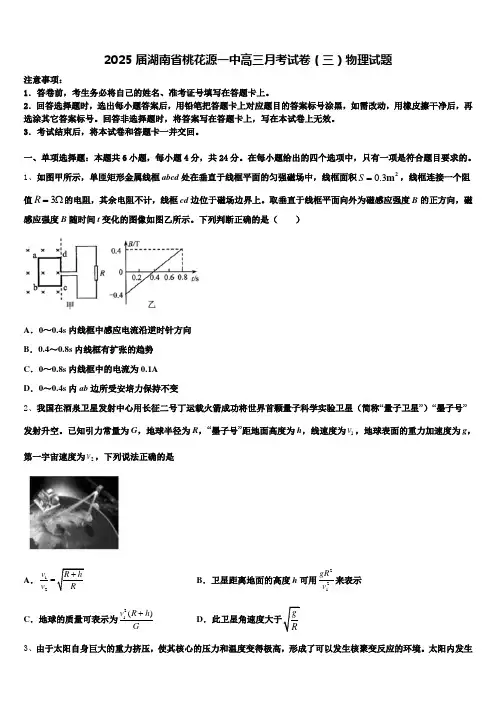 2025届湖南省桃花源一中高三月考试卷(三)物理试题含解析