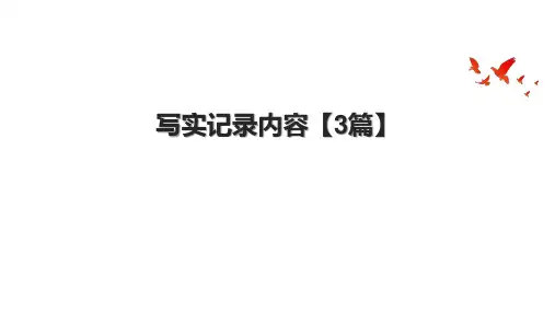 写实记录内容【3篇】
