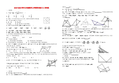 2019-2020学年九年级数学上学期周末练习2 苏科版