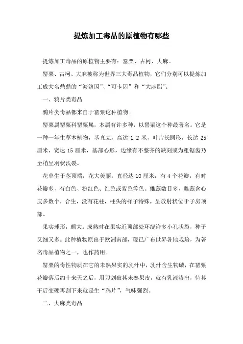 提炼加工毒品的原植物有哪些