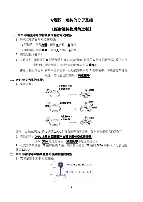 (完整版)遗传的分子基础知识点