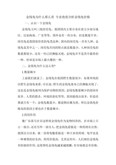 金钱龟为什么那么贵 专业角度分析金钱龟价格