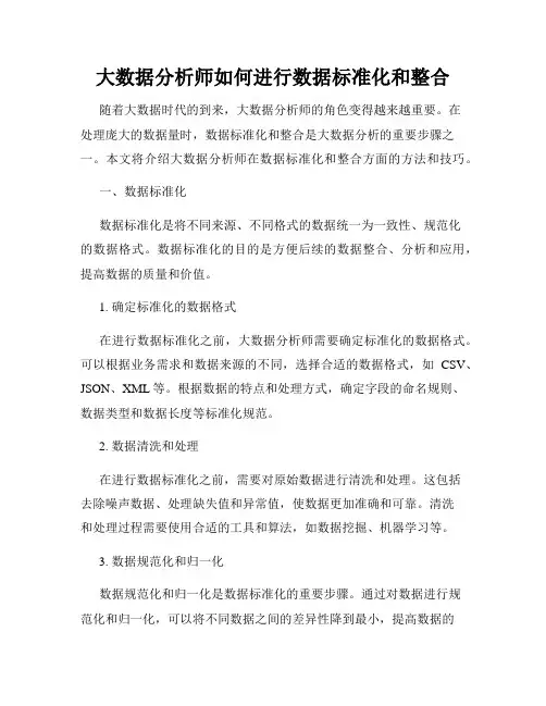 大数据分析师如何进行数据标准化和整合