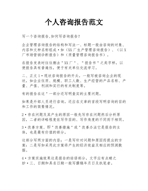 个人咨询报告范文