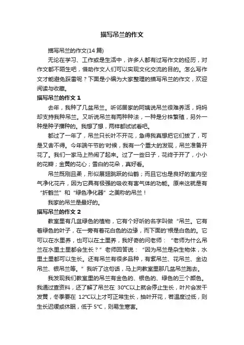 描写吊兰的作文（14篇）