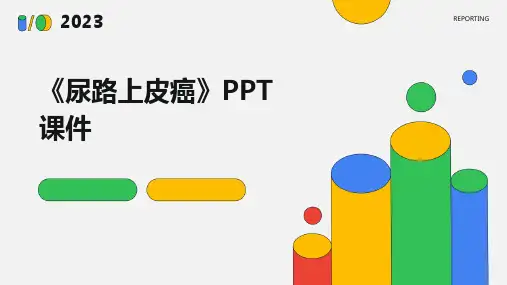 《尿路上皮癌》课件
