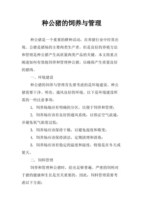 种公猪的饲养与管理