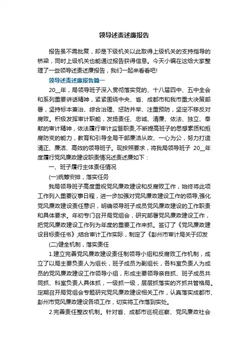 领导述责述廉报告4篇