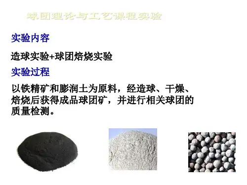 团矿理论与工艺课程实验