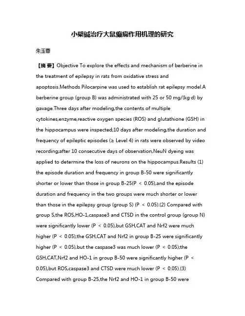 小檗碱治疗大鼠癫痫作用机理的研究