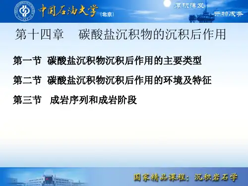 14 第十四章 碳酸盐沉积物的沉积后作用