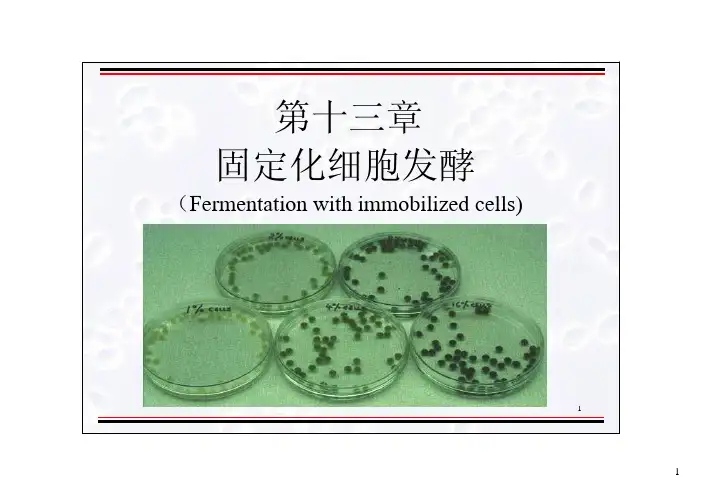 发酵工程原理与技术13