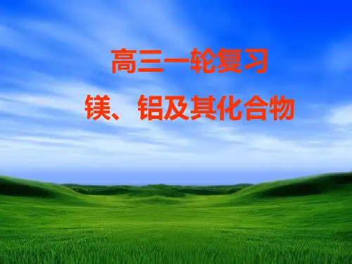 镁铝及其化合物(1)概要
