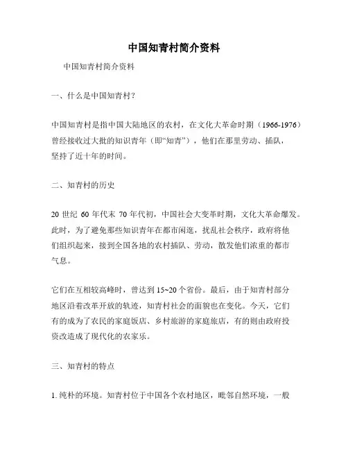 中国知青村简介资料