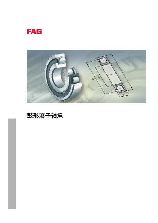 INA FAG轴承样本中文版-鼓型滚子轴承