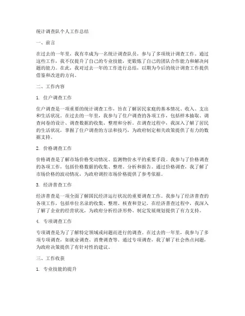 统计调查队个人工作总结