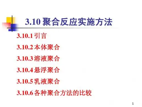 3.10聚合反应实施方法2