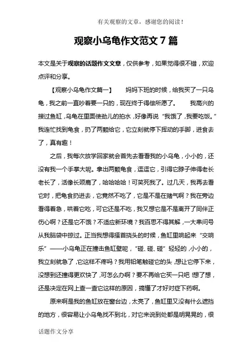 观察小乌龟作文范文7篇