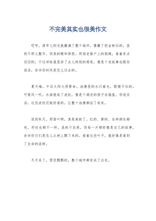 不完美其实也很美作文