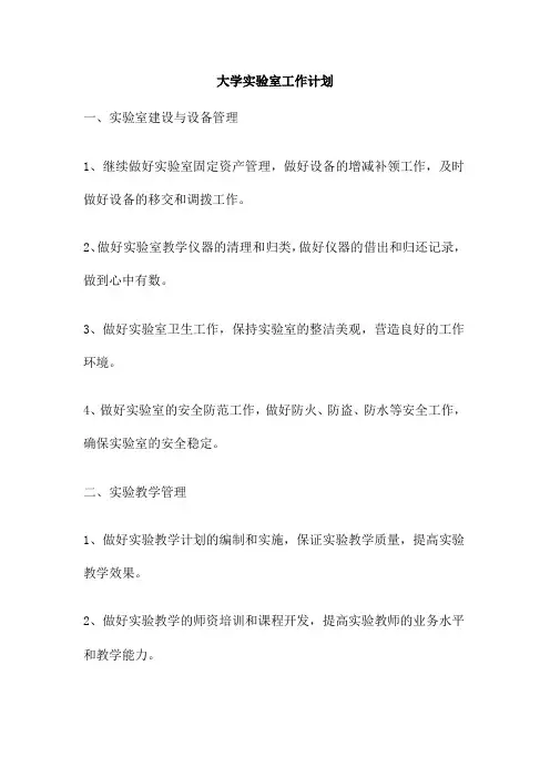 大学实验室工作计划