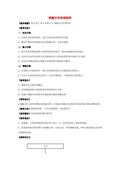 七年级生物上册第二单元生物体的结构第4章生物体的结构层次4.1细胞分化形成组织教案新版北师大