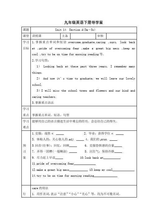 Unit 14  Section A(3a-3c)导学案(无答案)人教版九年级英语全册