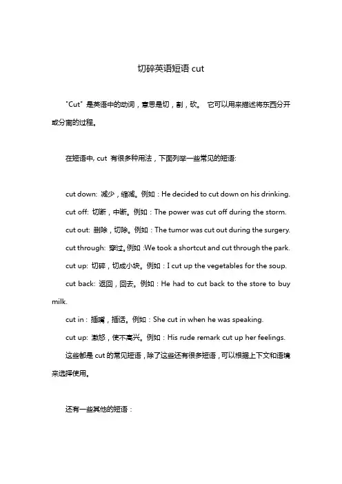 切碎英语短语cut