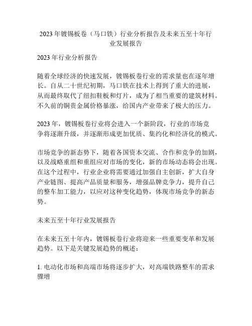 2023年镀锡板卷(马口铁)行业分析报告及未来五至十年行业发展报告