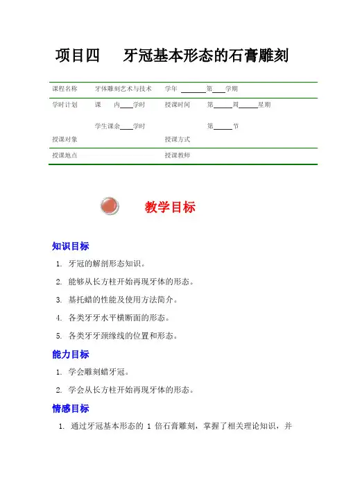 牙冠基本形态的石膏雕刻