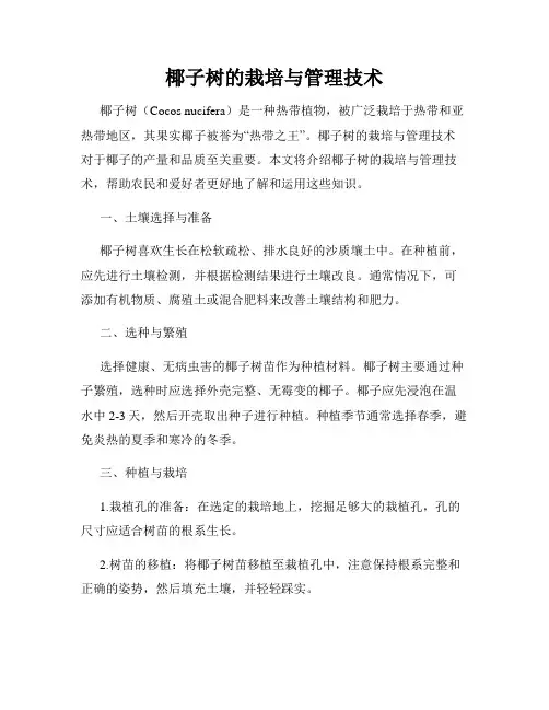 椰子树的栽培与管理技术