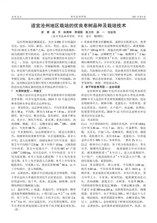 适宜沧州地区栽培的优良枣树品种及栽培技术