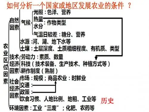 美国农业