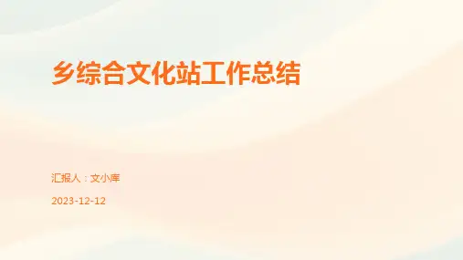乡综合文化站工作总结