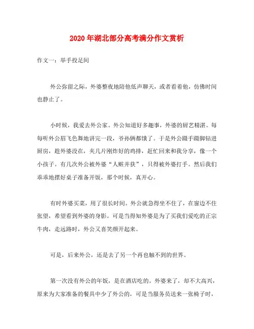 2020年湖北部分高考满分作文赏析