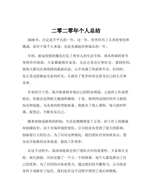 二零二零年个人总结