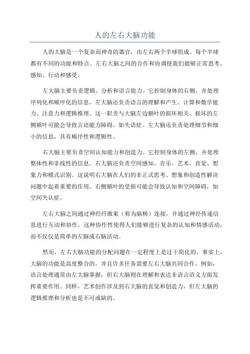 人的左右大脑功能