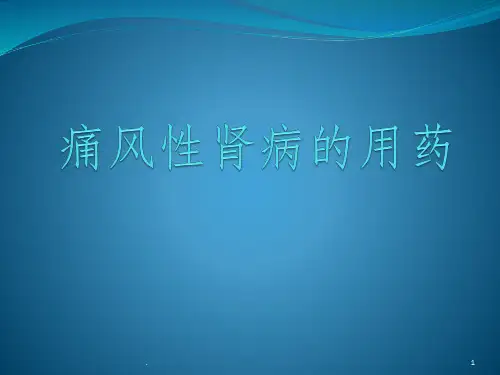 痛风肾ppt课件
