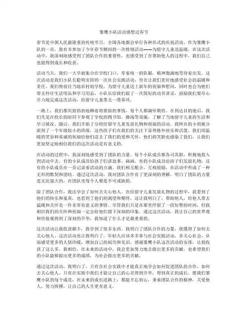 雏鹰小队活动感想过春节